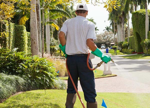 About Worthington WV Pest Control